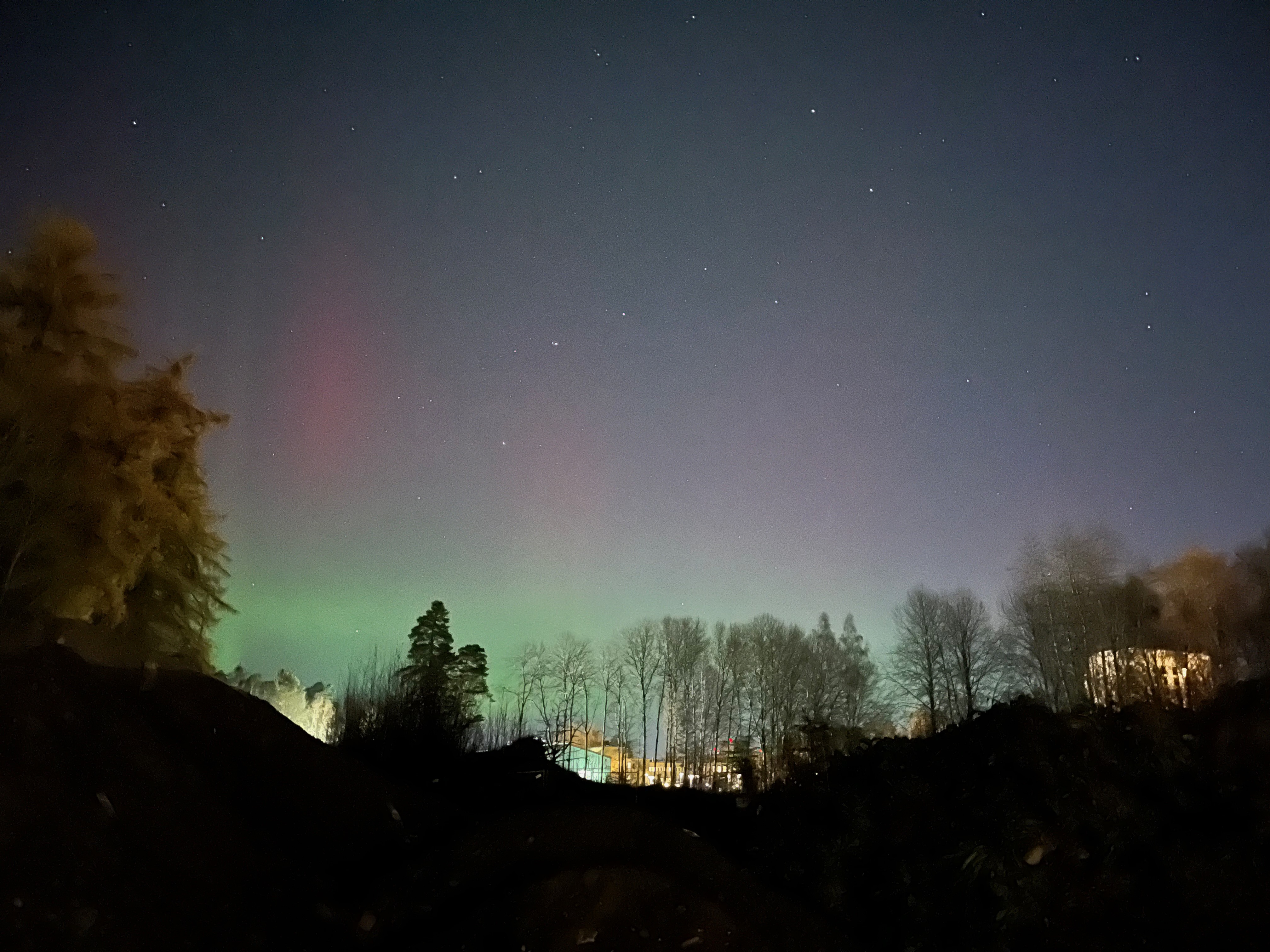 Polarlichter am Waldrand in Uppsala